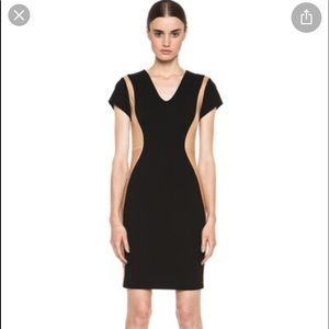 Diane Von Furstenburg Dayton Leather inset dress.
